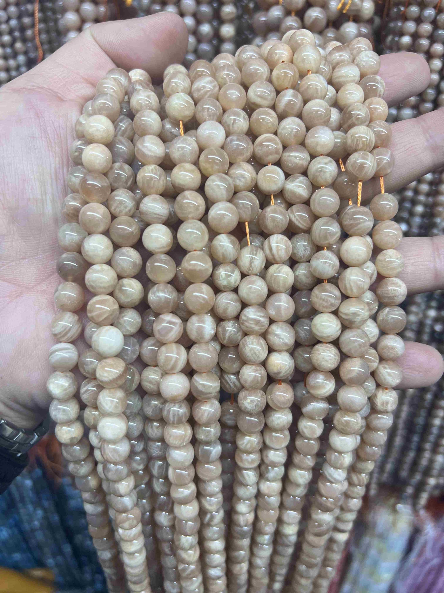 VIP 8mm #1 Free Shipping