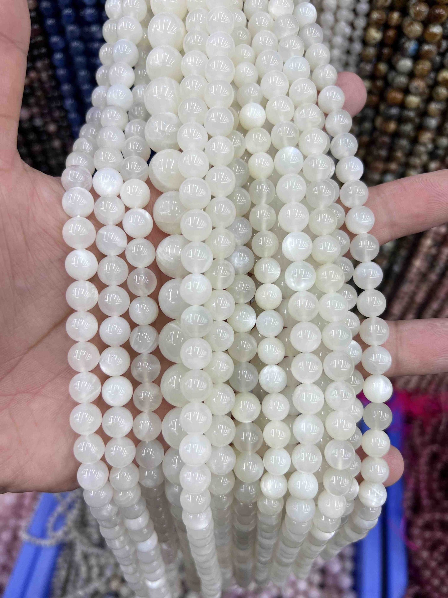 VIP 8mm #1 Free Shipping