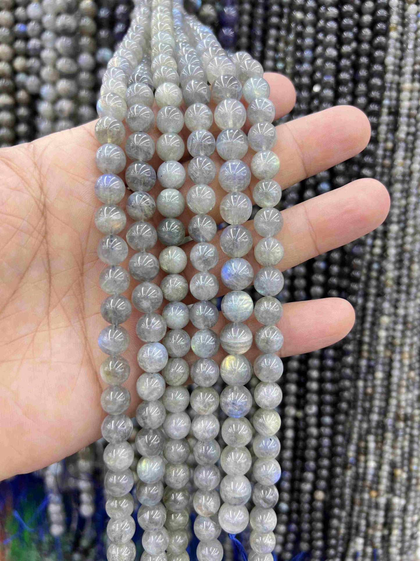 VIP 8mm #1 Free Shipping