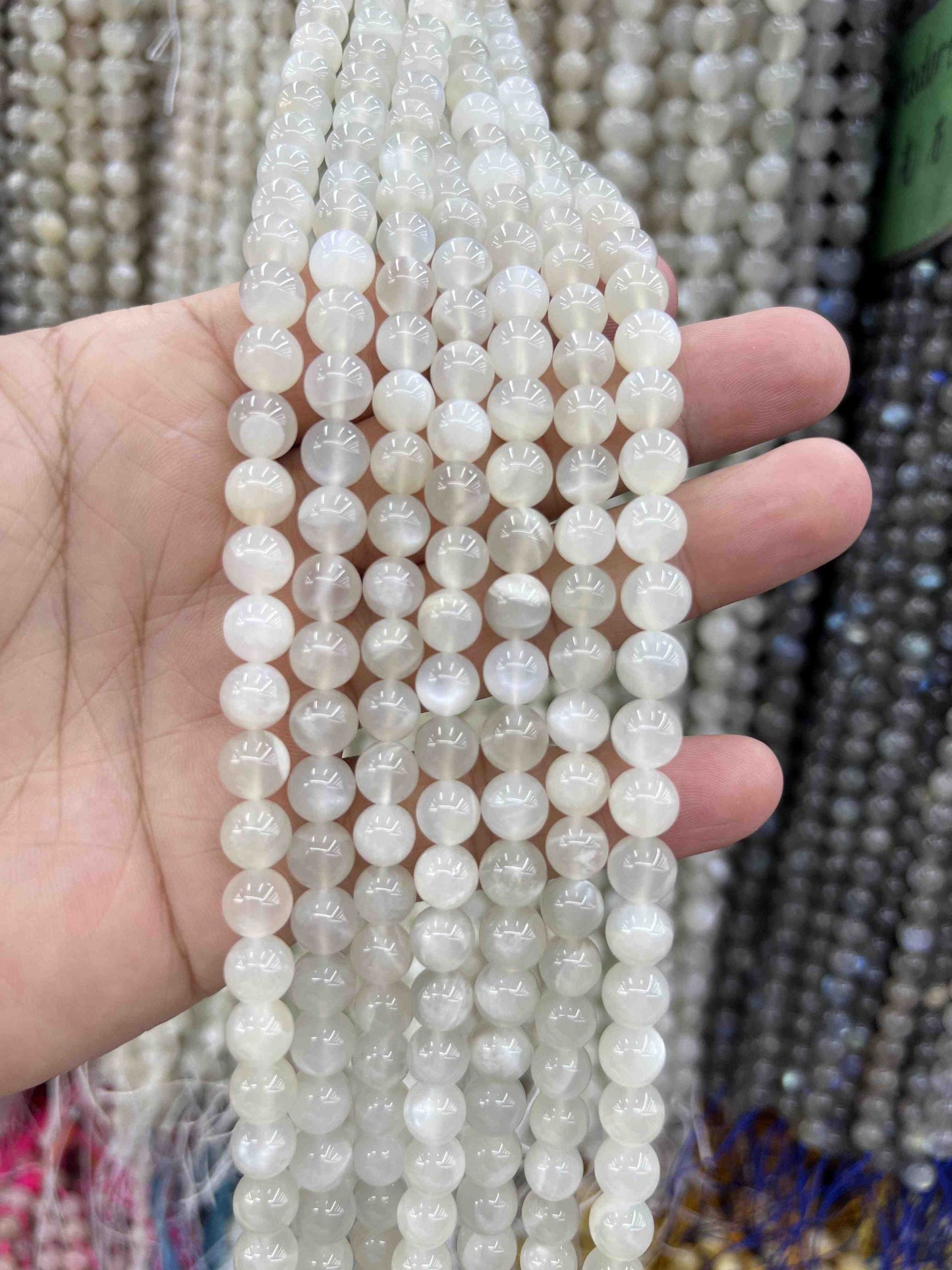 VIP 8mm #1 Free Shipping